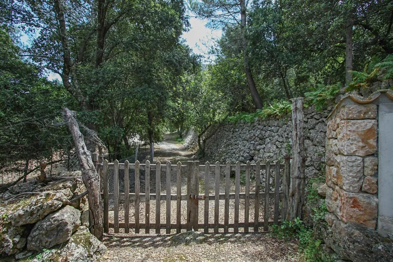 Hébergement de vacances Pollenca - 35056 Mallorca Lluc